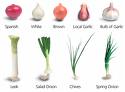 onions