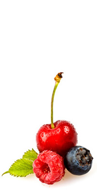 The Nutrition Coach